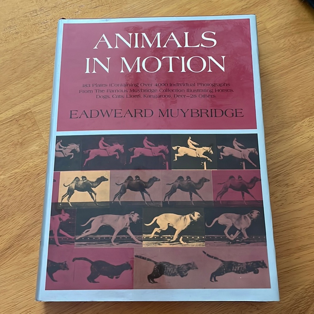 Animals in Motion Hardcover Book